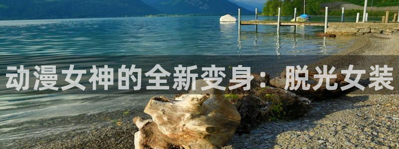 51动漫h